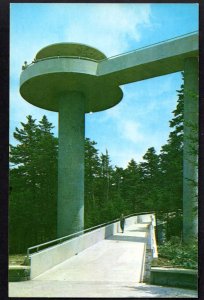 Tennessee Clingman's Dome Tower Great Smoky Mountains Nat Park - Chrome