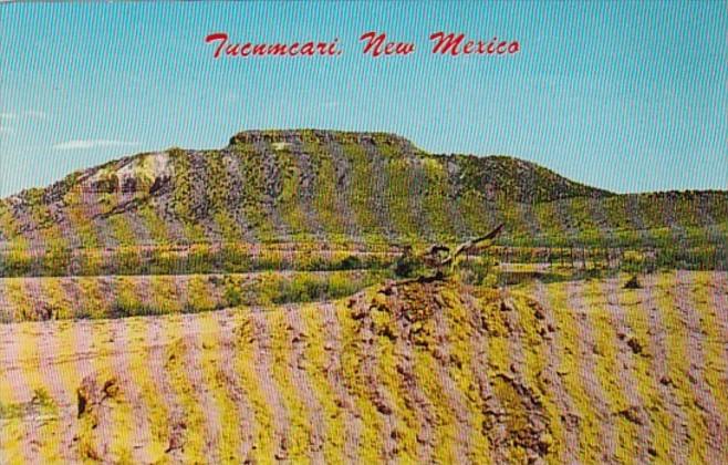 New Mexico Tucumcari Mountain