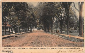 Deer Hill Avenue, Danbury, Connecticut, 1906 Hand Colored Postcard, Used