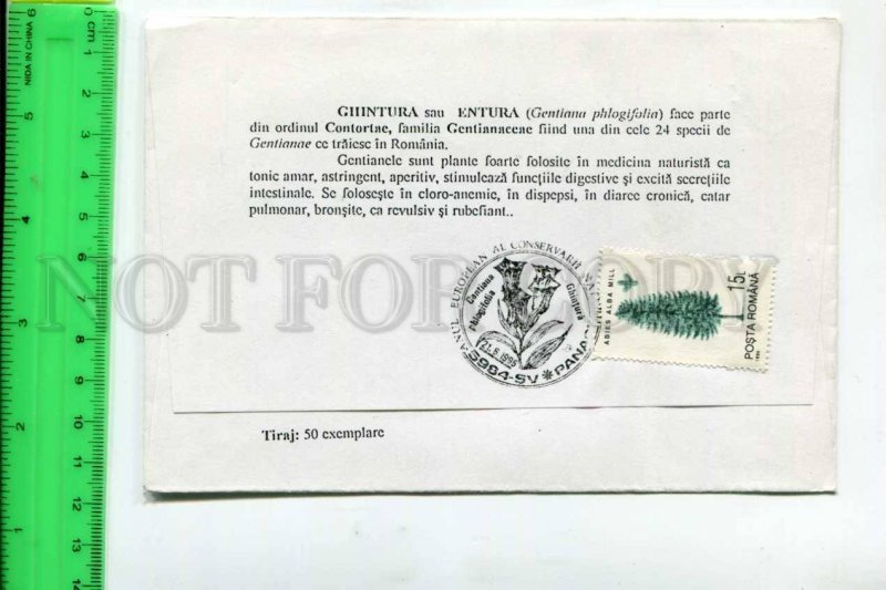 425231 ROMANIA 1995 year flowers Protection of Nature COVER