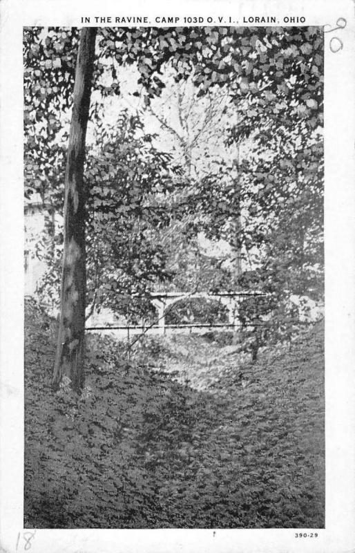 Lorain Ohio Ravine Scenic View Antique Postcard K81044