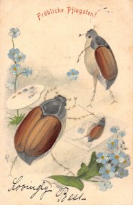 Pentecost Greetings 1906 Humanized Maybug Painter Forget-me-not postcard C317
