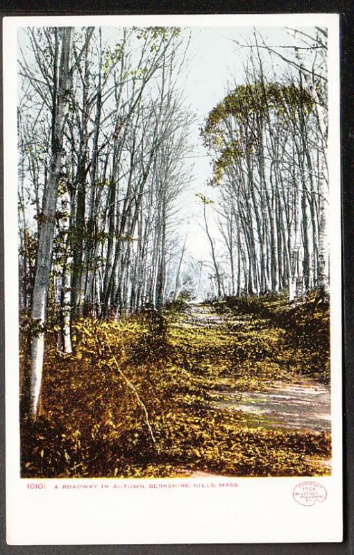 Roadway Autumn Berkshire Hills MA Detroit Post Card PPC734