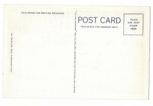 VA Williamsburg Virginia Colony Prison showing Stocks Vintage Linen Postcard