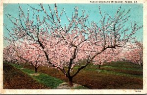 Georgia Perry Peach Orchard In Bloom Curteich