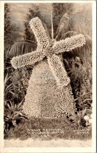 Real Photo Postcard Tulip Festival in Holland, Michigan~608