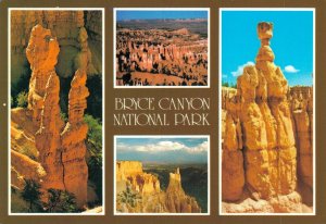 USA Utah Bryce Canyon National Park Vintage Postcard BS.10