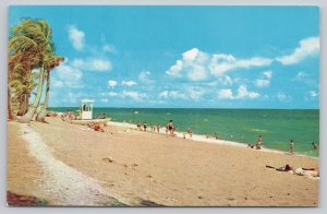 Postcard Miami Beach Florida FL Haulover Park Beach 1950s Chrome View