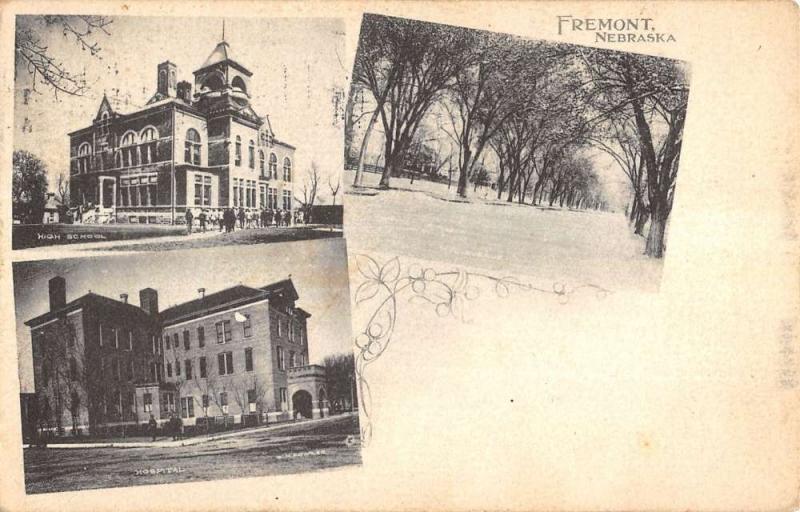 Fremont Nebraska Historic Bldg Multiview Antique Postcard K18112