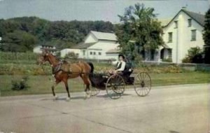 Amish Boy in his Horse & Buggy - Lancaster, Pennsylvania PA  