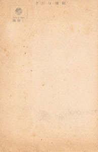 LPD24  Japan Japanese Postcard: Cranes