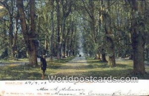 Sapnjaardslaan Haarlem Netherlands 1906 