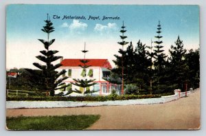 Vintage Postcard The Netherlands Paget Bermuda House Tall Trees Saxony