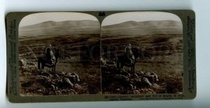 476173 Palestine fields battle Gideon and hill Marey Underwood STEREO PHOTO