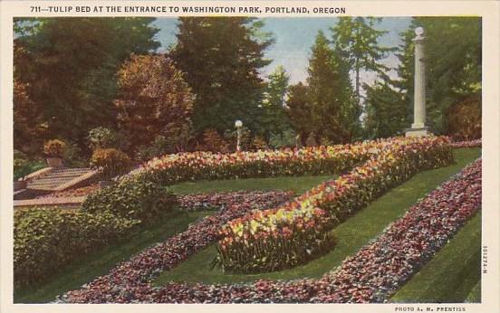 Tulip Bed At The Entrance To Washington Park Portland Oregon