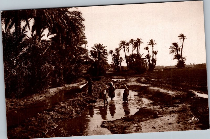 RPPC Dans l'Oasis  C.A.P. Strasbourg