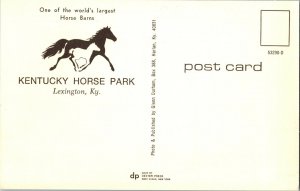 Large Horse Barn at Kentucky Horse Park, Lexington KY Vintage Postcard I41