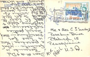 The Hibiscus Bermuda Postcard