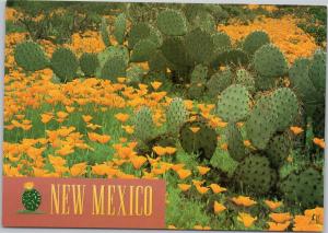 New Mexico Goldpoppies with Prickly Pear Cacti