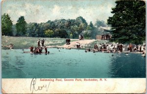 1906 Swimming Pool Seneca Park Rochester NY Postcard
