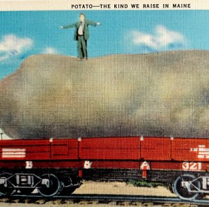 Giant Potato On Railway Car Maine Postcard Agriculture Railroad c1930s DWS5B