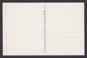 ISRAEL, Vintage postcard, M.S. Moledet, Unposted