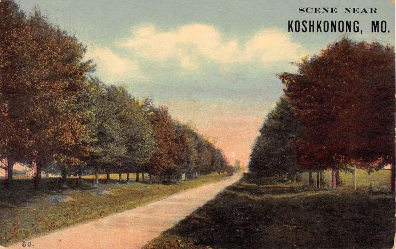 Koshkonong Missouri Scenic Roadway Greeting Antique Postcard K108022