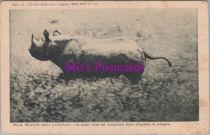 Africa Postcard - Rhinoceros, Nelle Missioni Della Consolata RS37597