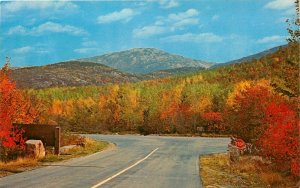 Mt Cadillac Mt Desert Island Maine ME fall autumn scene Postcard