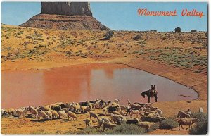 MONUMENT VALLEY Navajo Sheep Herd Mitten Rock Arizona Utah '60s Vintage Postcard