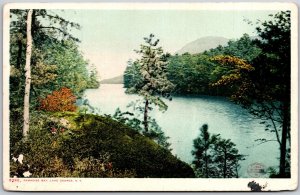 Lake George New York NY, Paradise Bay, Evergreens And Autumn Foliage, Postcard