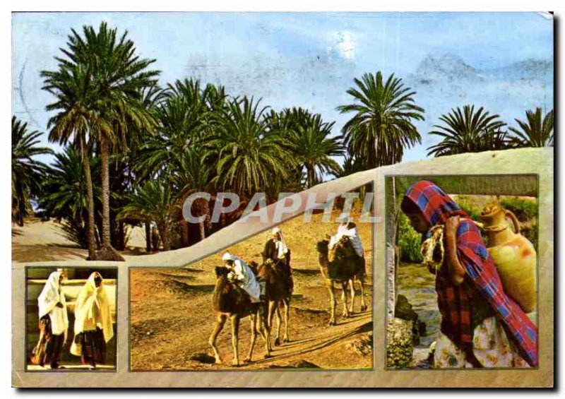 Modern Postcard Souvenir southern Tunisia