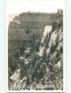 Pre-1950 rppc NICE VIEW North Rim At Grand Canyon Arizona AZ i5948