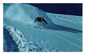 UT - Alta. Alf Engen Skiing in light deep powder snow