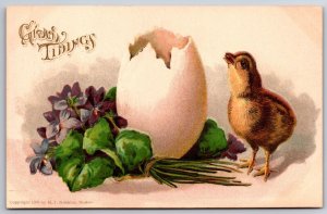 Easter~Glad Tidings~Chick By Broken Shell~Violets Bouquet~Emb~HI Robbins~c1910