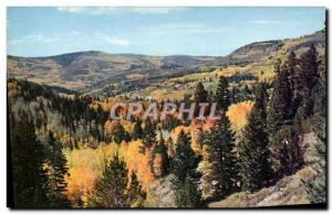 Modern Postcard Autumn Scene In Utah Highway 14 on Cedar Mountain Cedar Break...