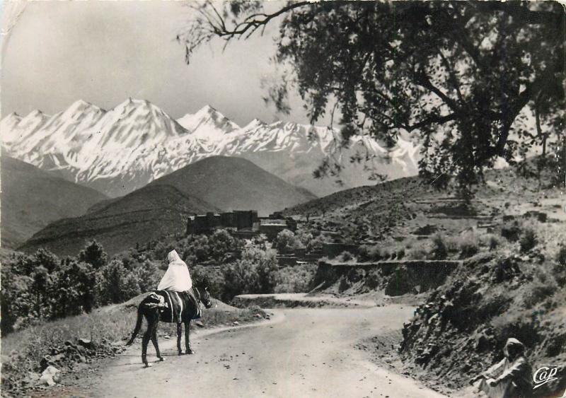 Morocco Asni mountain landscape ethnic on donkey real photo postcard 1952