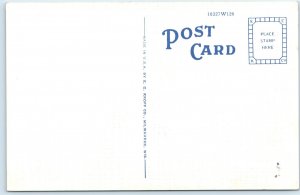 c1940s Oshkosh, Wis Greetings from Here Nature's Superb Beauty Fascinates A228