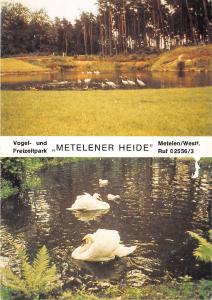 B35123 Metelener Heide  germany