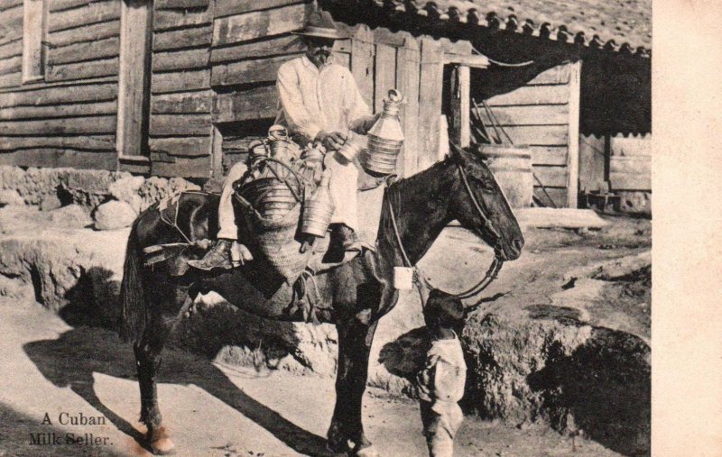 Cuba Cuban Milk Seller On Horse Vintage Postcard