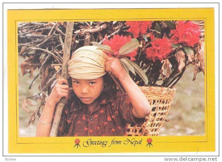 Thakali Girl Carrying Rhodedendrons , NEPAL , 70-80s