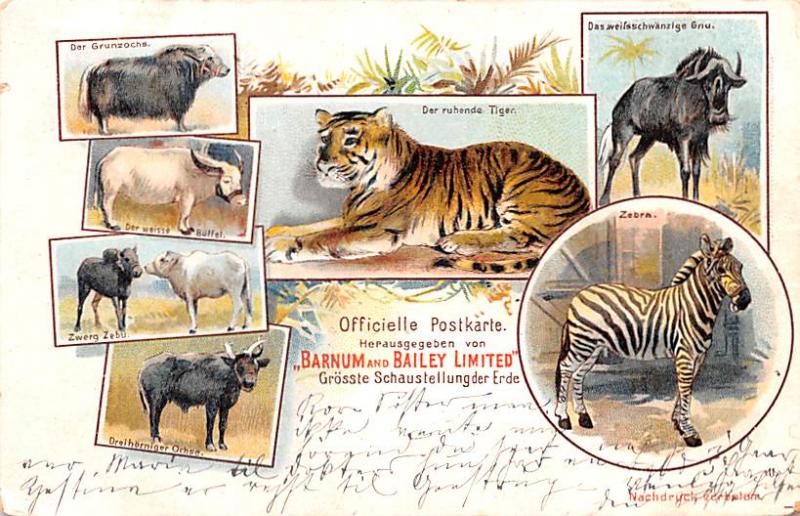 Barnum & Bailey Limited Der Ruhende Tiger Circus Postal Used Unknown 