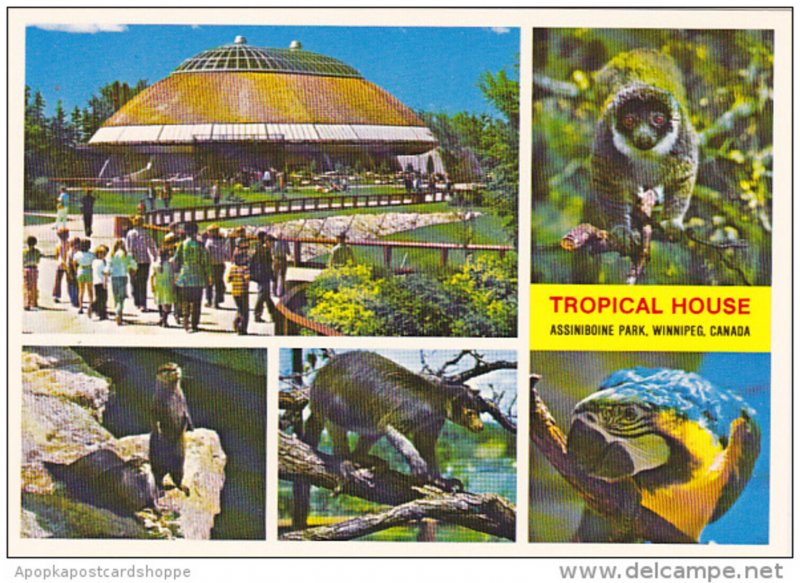 Canada Tropical House Assiniboine Park Winnipeg Manitoba