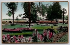 Long Beach Recreation Park CA Fred Martin Hand Colored Gilded Photo Postcard I30