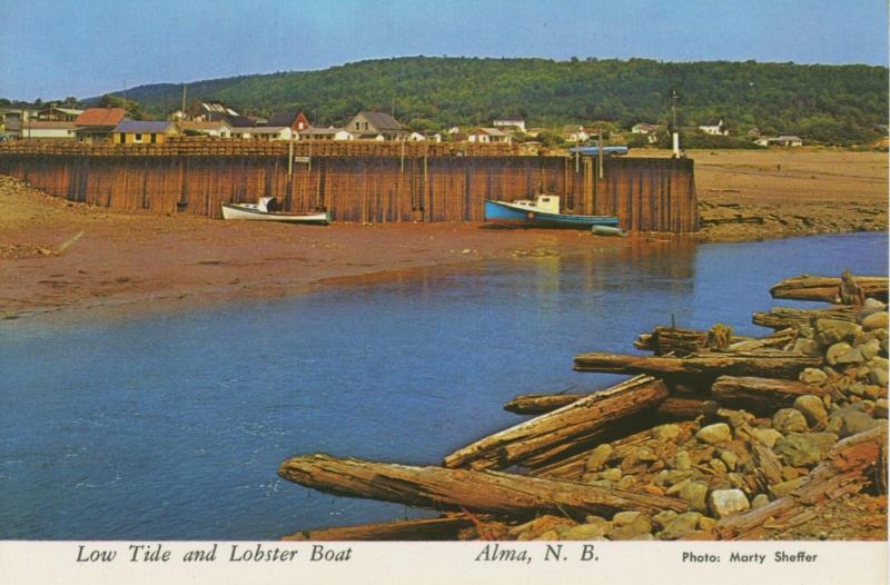 Alma NB New Brunswick Low Tide Lobster Boat Marty Sheffer Unused Postcard D26