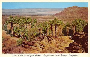 View of the Desert from Andreas Canyon Palm Springs CA