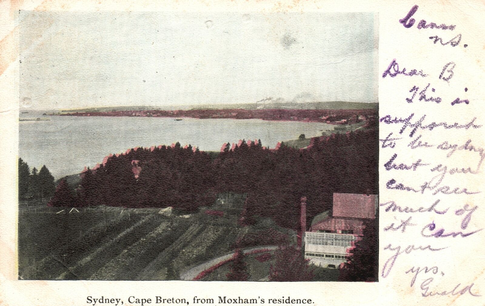 Vintage Postcard 1905 Moxham's Residence Sydney Cape Breton Nova Scotia