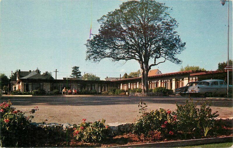 Auto 1950s Terrace Court Santa Cruz California 1950s roadside Postcard 21-3028