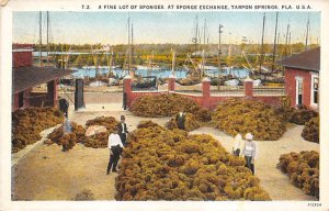 Fine Lot of Sponges at Sponge Exchange  Tarpon Springs FL