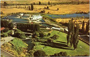 Snake River Trout Ranch aerial view, Buhal Idaho postcard